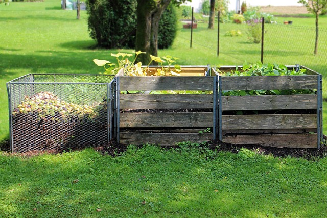 Préparations biodynamiques naturelles à base de compost et de plantes pour enrichir le sol d'un vignoble