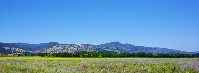 Collines de vignobles des principales régions des vins de Californie