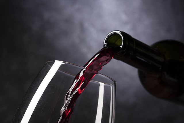 Dégustation de vin dans un verre régional, illustrant les conseils de dégustation du quatrième article