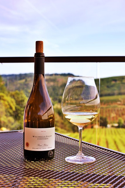 Salle de dégustation avec terrasse offrant une vue sur les vignobles de Martinborough.